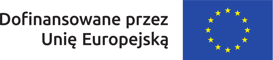 Dofinansowane przez Unię Europejską, flaga Unii Europejskiej